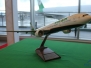 EVA Air New Logo Unveil and Aircraft Delivery